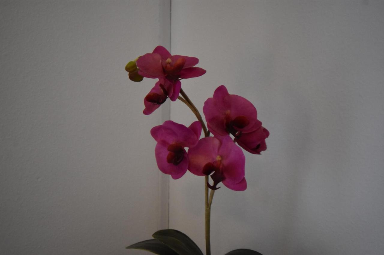 Sitio de Calahonda Riviera Del Sol Walking Distance To Beach - Aldea מראה חיצוני תמונה